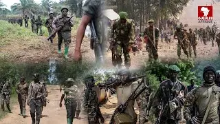 panique apr&egrave;s le retour avec force des wazalendo/ FARDC &agrave; NDETE KISHONJA MULAMU et LUKE &agrave; masisi