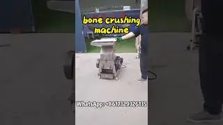 Industrial Bone Crushing Machine | High Output & Fine Powder #bones #crushing #foodprocessing