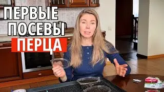 Сею перцы для раннего урожая. Сорта и сроки посева