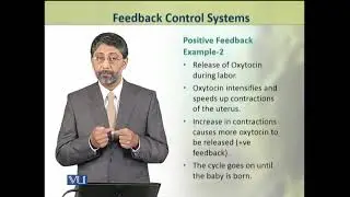 Feedback Control Systems | Animal Physiology and Behavior (Theory) | ZOO502T_Topic006