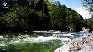 Calivio - 6 Hours Relaxing River Sounds With Birds | 6 Hours Of Peace And Serenity