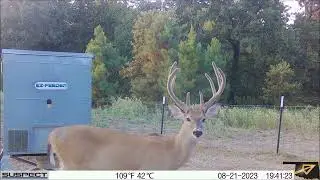 Oklahoma Whitetail Bucks Suspect BH 755