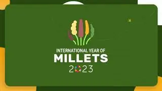 Why choose Millets? Let's know the benefits of the 'Shree Anna'- Millets!