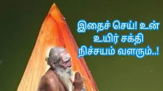 இதைச் செய்! உன் உயிர் சக்தி நிச்சயம் வளரும்..!