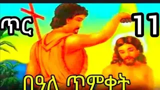 ጥር ❤11❤ስንክሳር