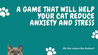 Cat games - Rainbow string. Help your cat reduce anxiety and stress. Videos for cats.