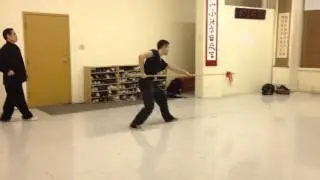Xing Yi Spear (Rooster Form) Short Form