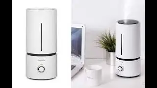Affordable Humidifier | Raydrop Cool Mist #humidifer #sinusrelief #shorts