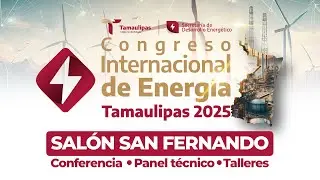 Conferencia sobre transici&oacute;n energ&eacute;tica, renovables y rol de turbinas en sistemas el&eacute;ctricos.