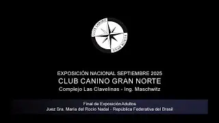 “Perros en acción” Club Canino Gran Norte