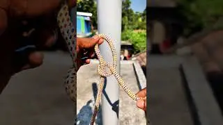 Easy and strong smart rope knot