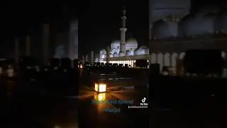 Sheikh Zayd Grand Masjid Close View