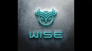 WISE Token Explained
