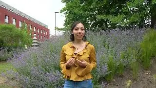Decentring - Voices from around the World | Erika - Mexico/Belgium - autonom&iacute;a