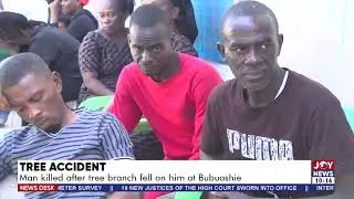 Tree Accident: Man killed after tree branch fell on him at Bubuashie - News Desk on JoyNews