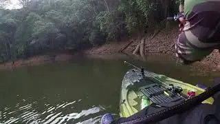Pescaria de traira s&oacute; no plug tapirai #pesca #pescaria #shortvideo #fishing #shorts