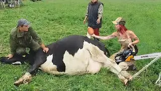 Ultimate Farm Efficiency Advanced Tech for Livestock & Silage Handling