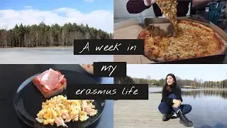 Erasmus en Finlandia | Weekly vlog + prácticas de Enfermería