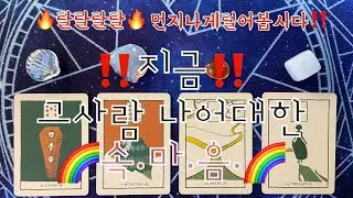 타로- 🔥지금 그사람 나에대한 속마음🔥