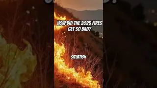 Discover The Shocking Reality of the 2025 California Wildfires! #wildfire #2025fires #disasters