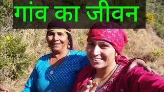 Pahadi gaon ki jindegi#pahadi culture #pahadi indian family 