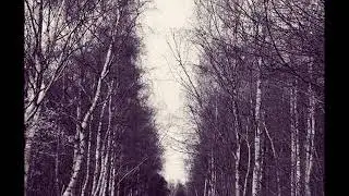 Hakobune – While Shadows Sweep Across the Lawn
