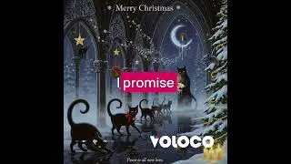 Merry Christmas, Shadow Children (Black Sheep) 