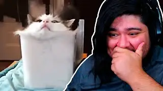 VIENDO MEMES RAROS #1