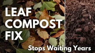 The Secret Liquid That Melts Leaves Into Compost in Just Days!