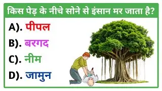 Part - 311 Gk Question || Gk In Hindi || Gk Question And Answer || Gk quiz || Aman Study Club || #gk