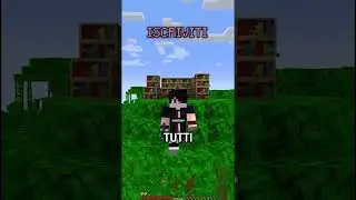 un trick di minecraft abbastanza wow