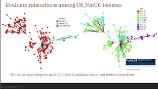 11 - David Stephens - Unlocking N. meningitidis evolution and pathogenesis: the Nm urethritis clade