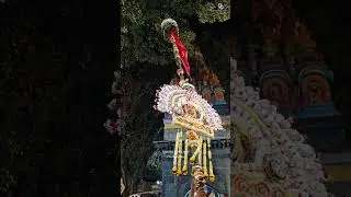 Tulja Bhavani Chabina 2025 🔱 | Tuljapur Devi Procession 🚩 | Navratri Special #shorts