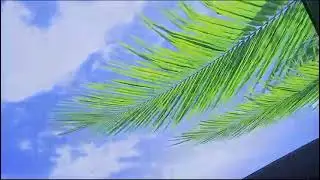 pvc printed stretch fabric ceiling installation service pan India
