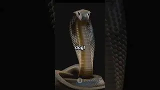 Snake mystery. #ai #youtube #youtubeshorts #viral #snakes #trending #cobra #shorts #biggboss #amazon