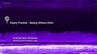 Inquiry Practice   Seeing Without Effort final