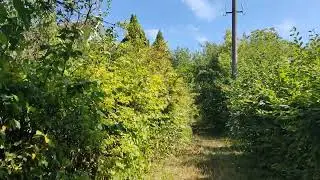 Михайловские дачи Жмеринка VID 20230817 143943