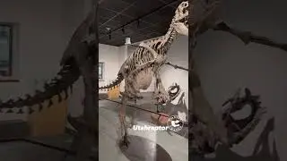 Utahraptor: The Ultimate Raptor  #paleontology #dinosaur