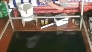 Ещё один кроватный рыбак.