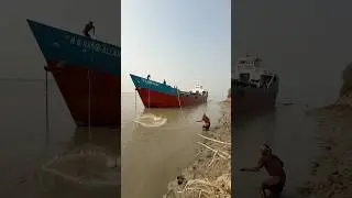 River side big hitting castnet enjoy this video. #shorts #Amazing #fishing #fish #village #river