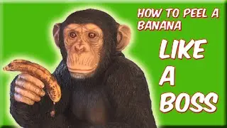 How to Peel A Banana Like A Boss Retro Hax Life Hacks