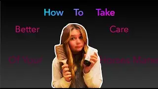 The BEST way to take care of your horse's MANE! *different texture examples*