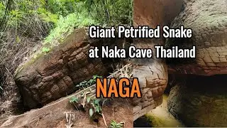Naka Cave Giant Snake Legend Thailand - King Naga Giant