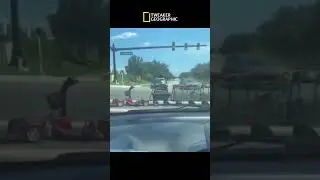 Tweaker Geographic: The Tweaker Express.