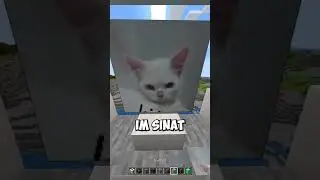 Я добавляю своих подписчиков в Minecraft... 😱 #шорты стр. 485