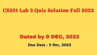 cs201p lab 3  quiz 2022 fall 2022 with reference attempt By Helping Hands|version |