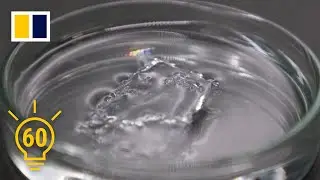 Japan&rsquo;s researchers develop ocean-friendly plastic