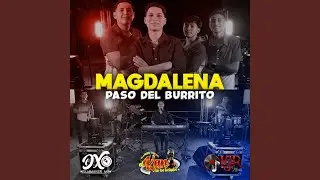 Magdalena (Paso Del Burrito) (Live Session)