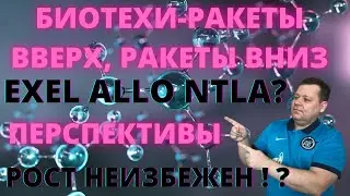 Биотехи Ракеты вверх ракеты вниз. Exelixis Inc EXEL Allogene Therapeutics Inc ALLO Intellia Inc NTLA