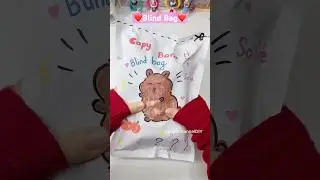 T&uacute;i m&ugrave; Capybara b&ecirc;n trong c&oacute; nhiều m&oacute;n cute❤️ / Blind Bag/ Liam Channel